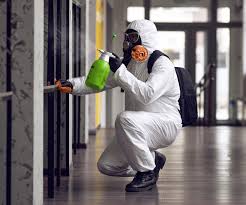 Best Forensic Mold Investigation in Mono Vista, CA